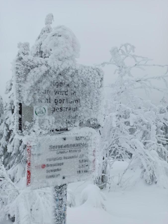 Walpurgis Hexe Lejlighed Braunlage Eksteriør billede
