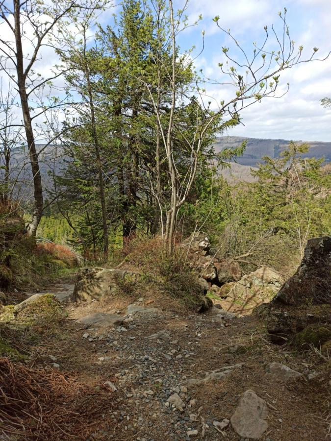 Walpurgis Hexe Lejlighed Braunlage Eksteriør billede